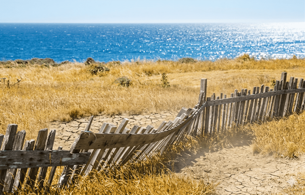 A broken and weathered wooden fence sitting in a field of dry, sun-parched grass with a bright blue ocean in the background.