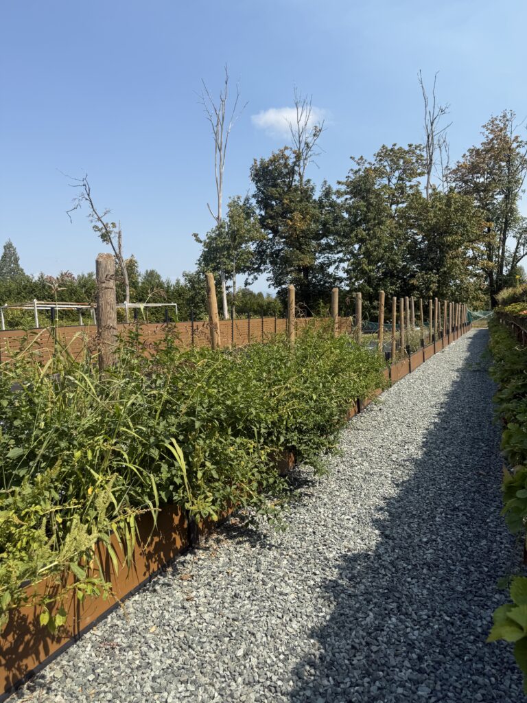 Canada Wpc Trellis Garden Path