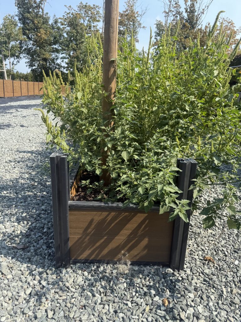 Wpc Raised Garden Bed Detail